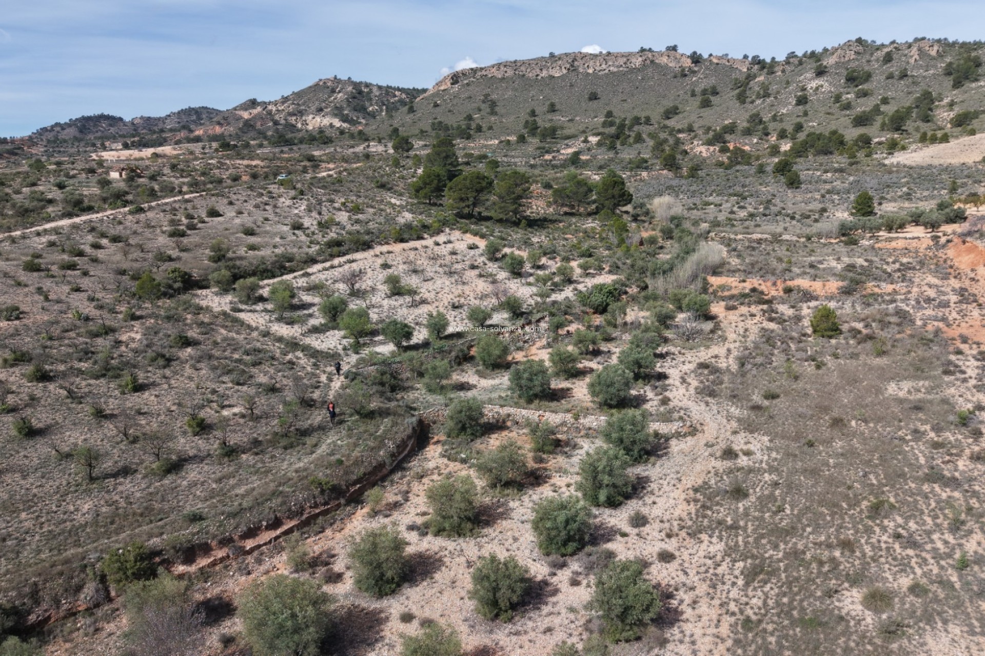 Herverkoop - Land - Yecla