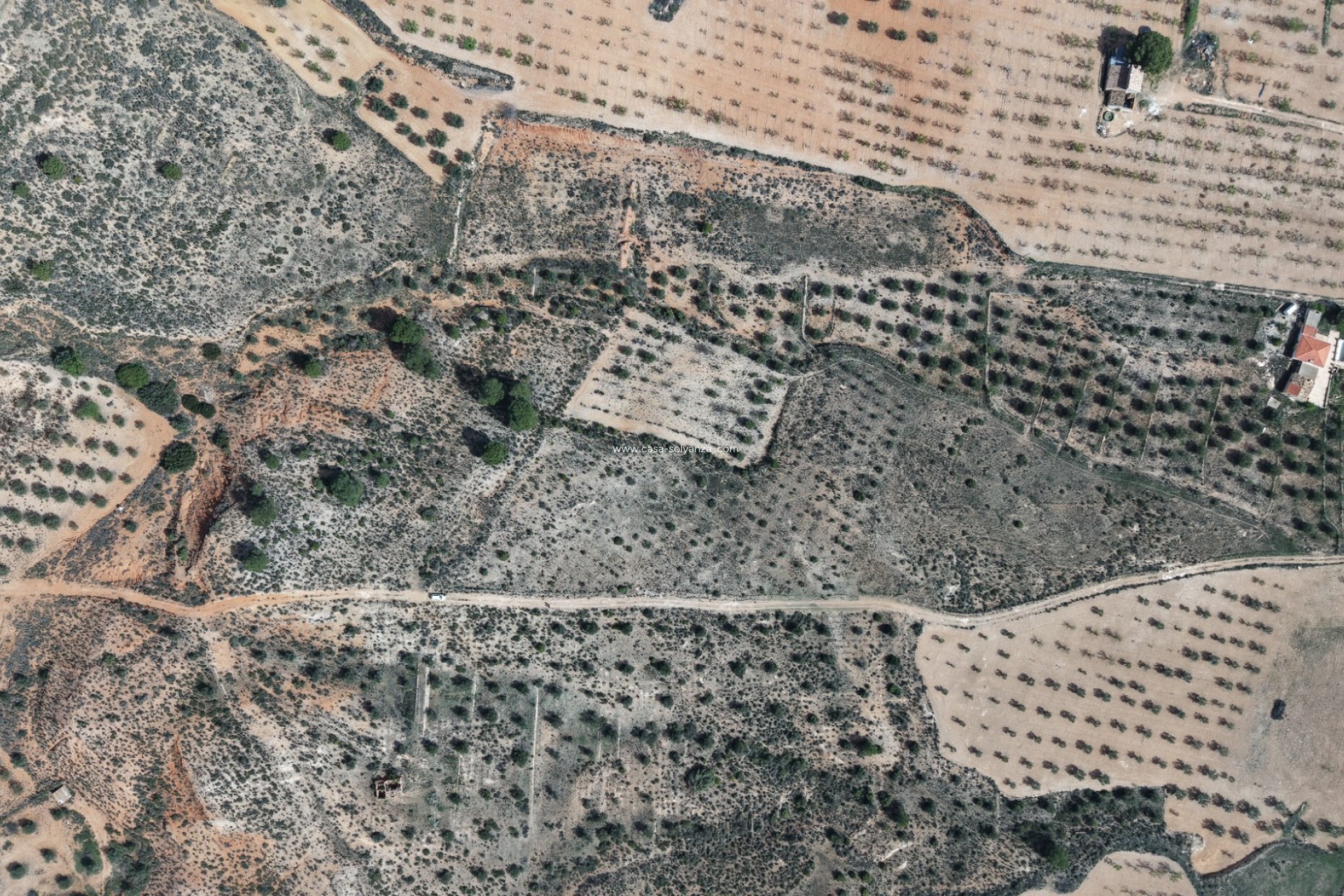 Herverkoop - Land - Yecla