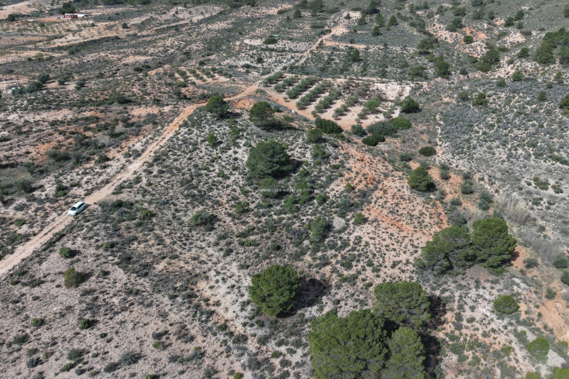 Herverkoop - Land - Yecla