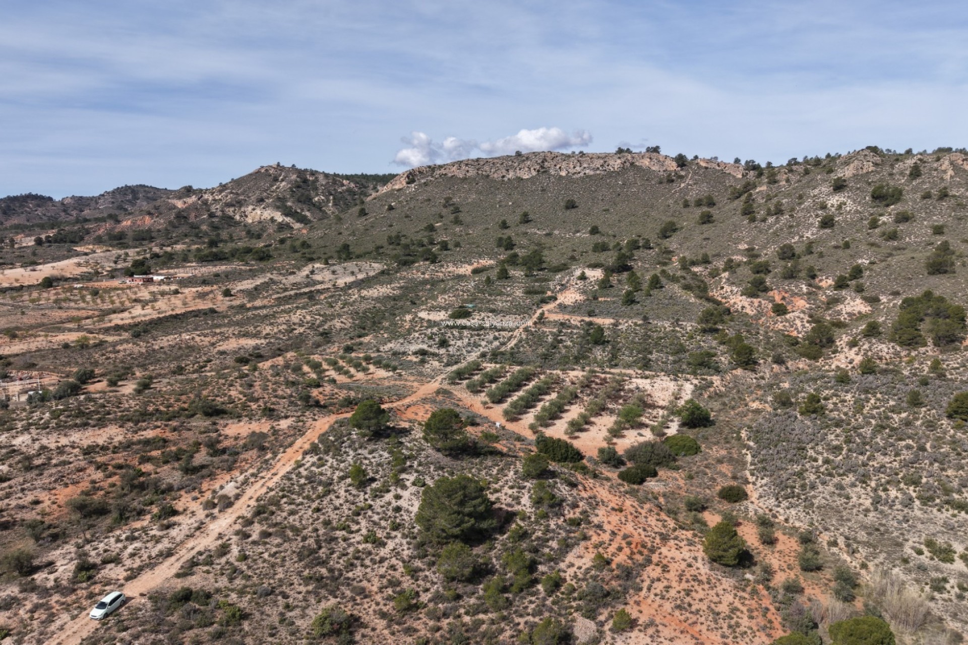 Herverkoop - Land - Yecla