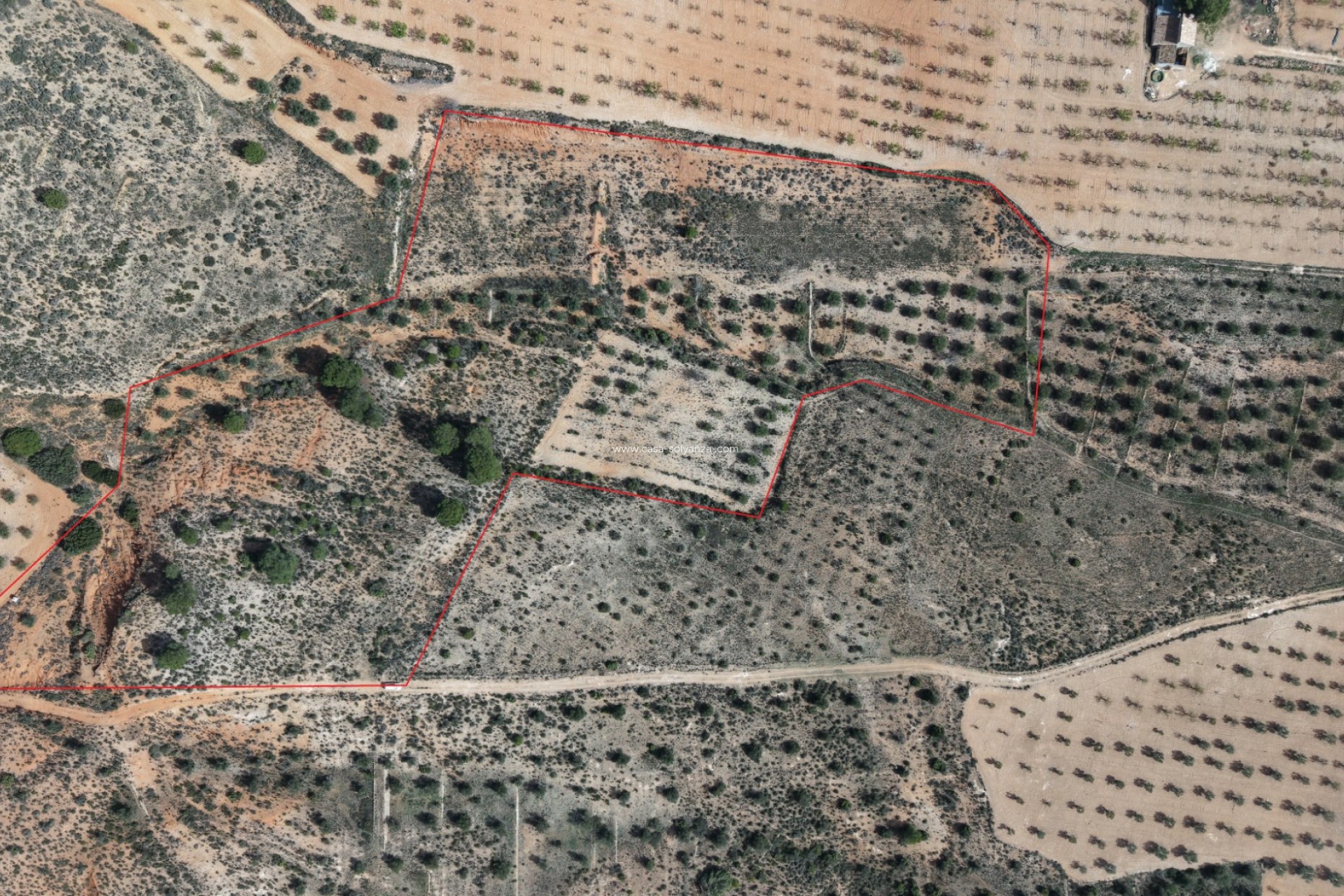 Herverkoop - Land - Yecla