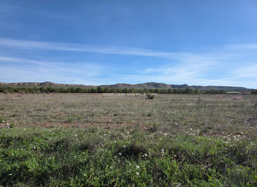 Herverkoop - Land - Yecla