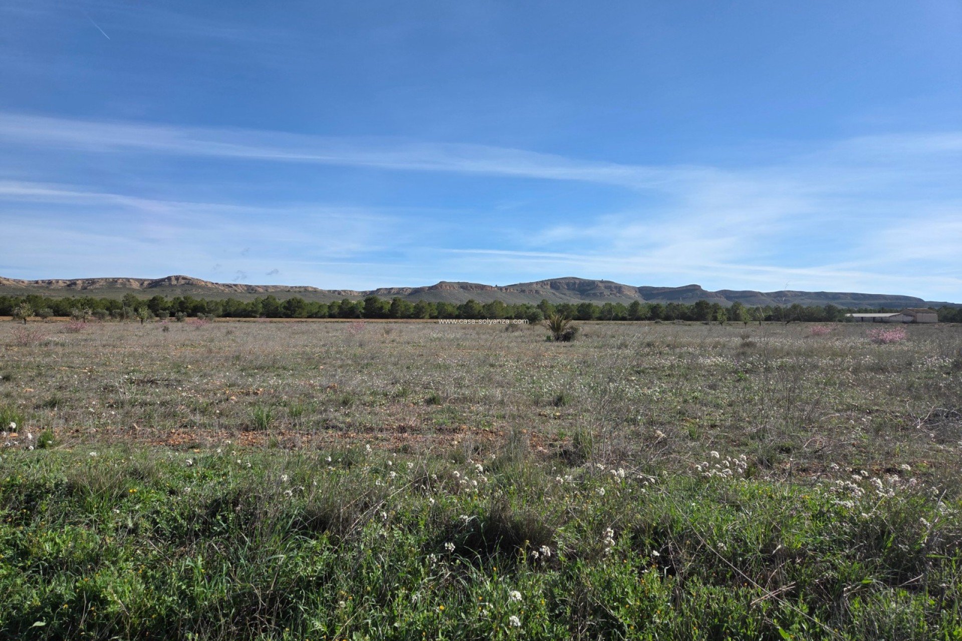 Herverkoop - Land - Yecla