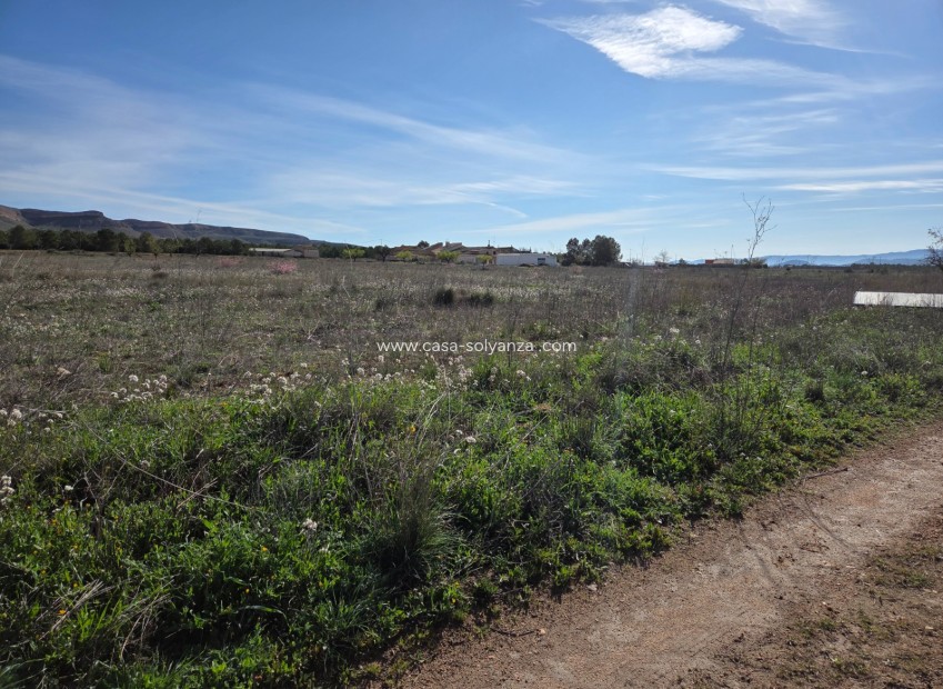 Herverkoop - Land - Yecla