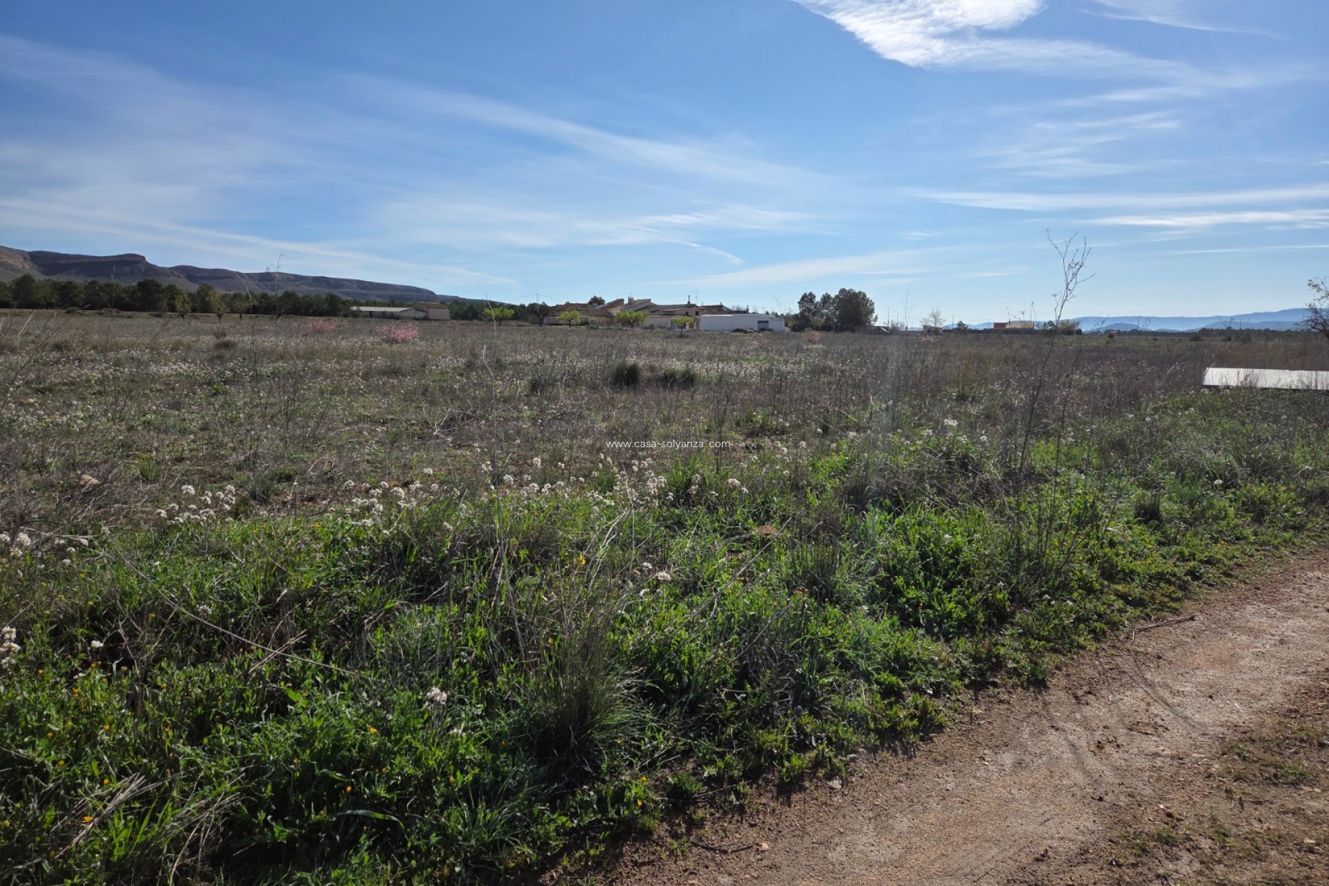 Herverkoop - Land - Yecla