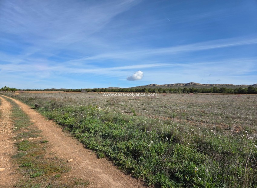 Herverkoop - Land - Yecla