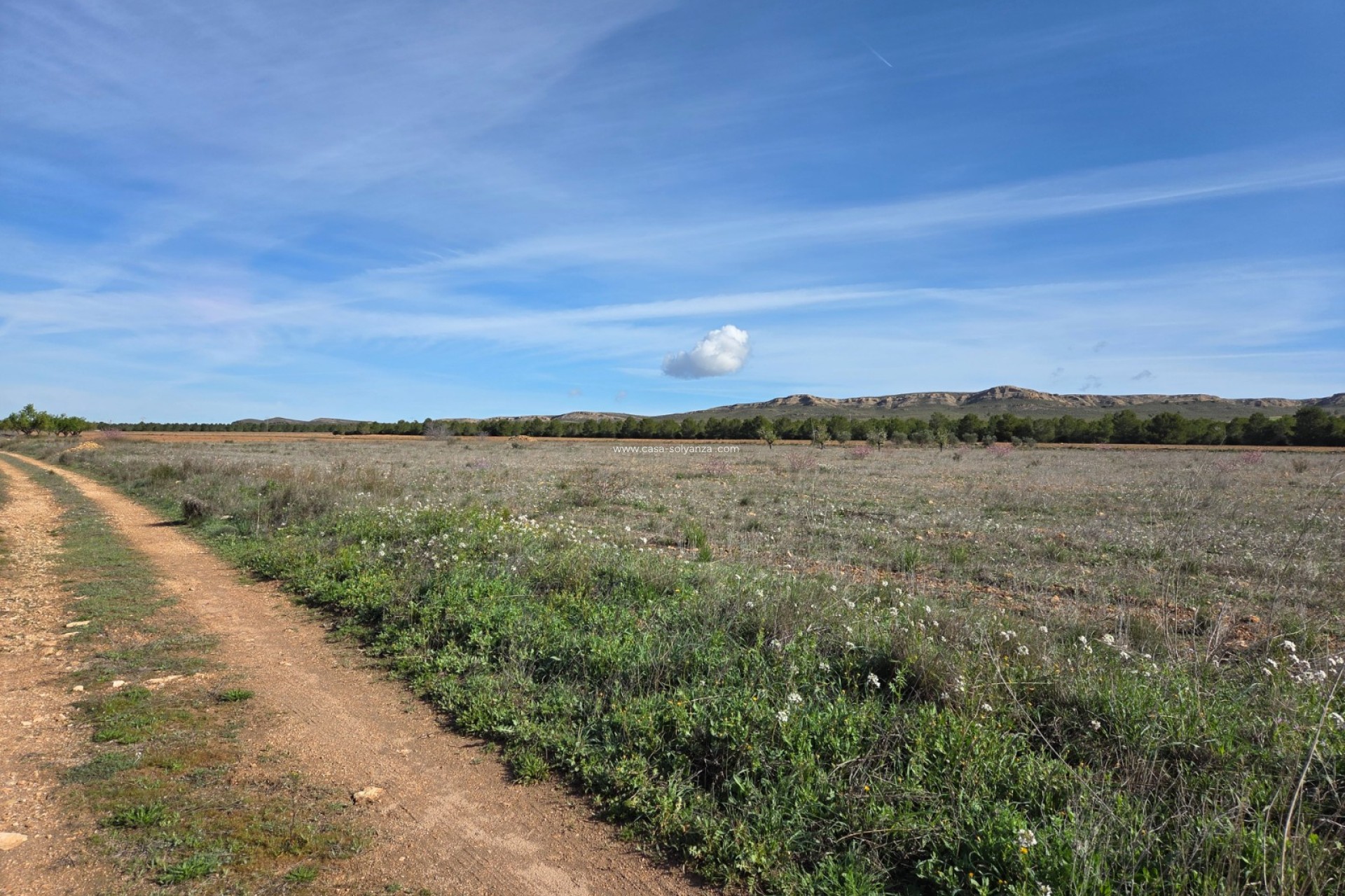 Herverkoop - Land - Yecla