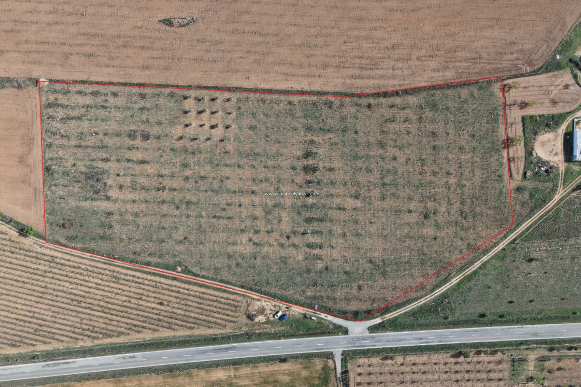 Herverkoop - Land - Yecla