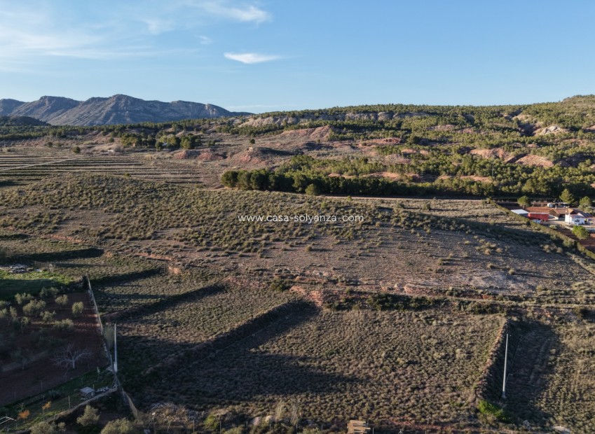 Herverkoop - Land - Yecla