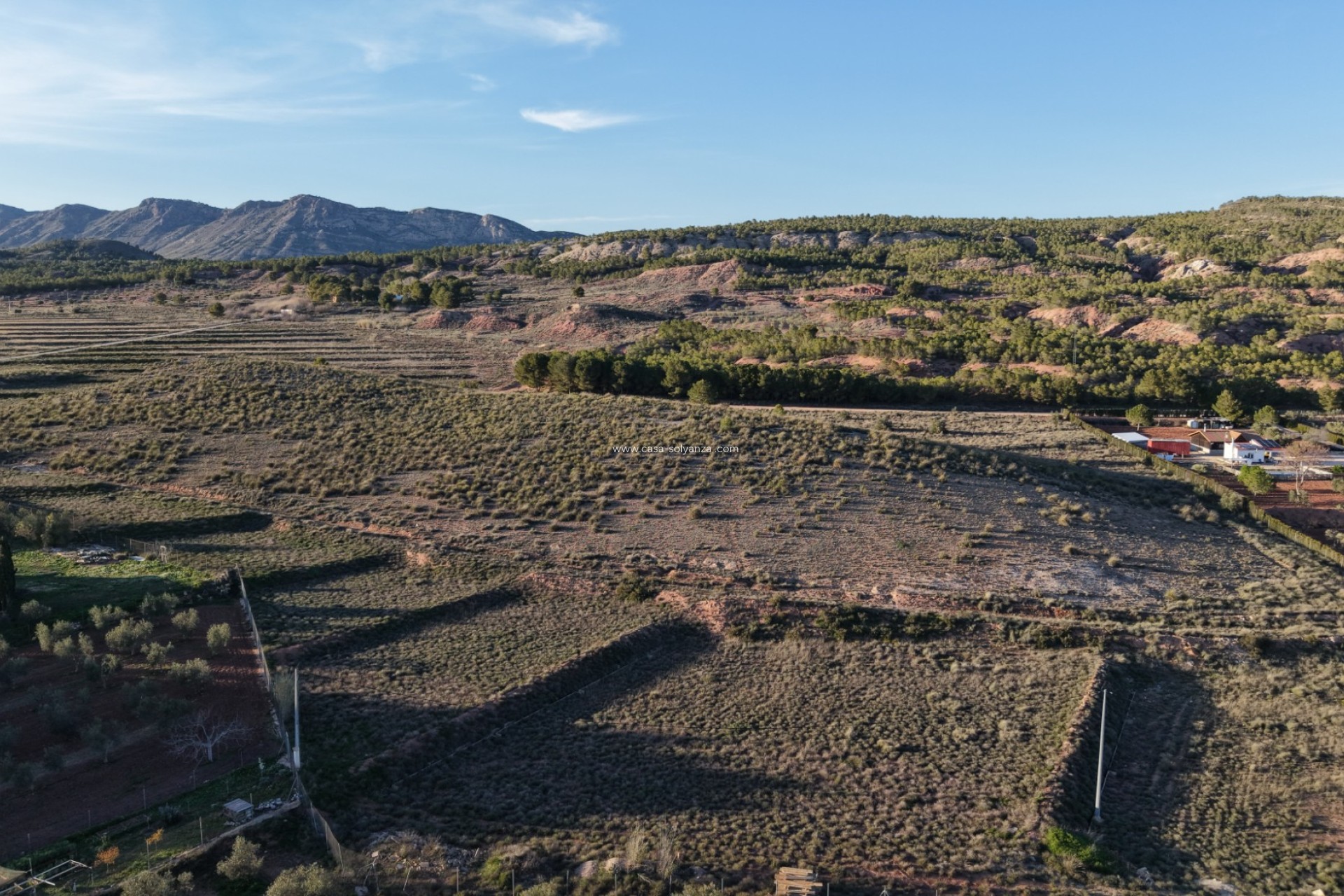 Herverkoop - Land - Yecla