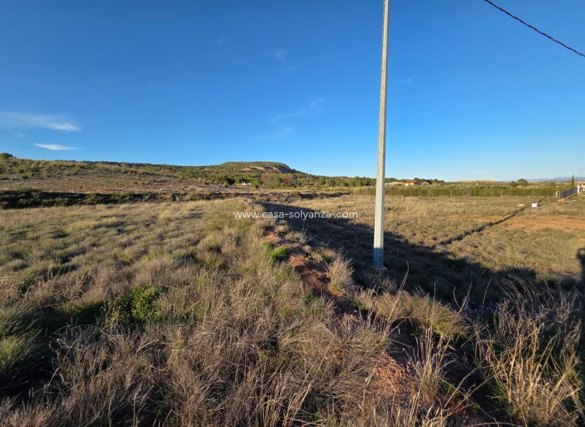 Herverkoop - Land - Yecla