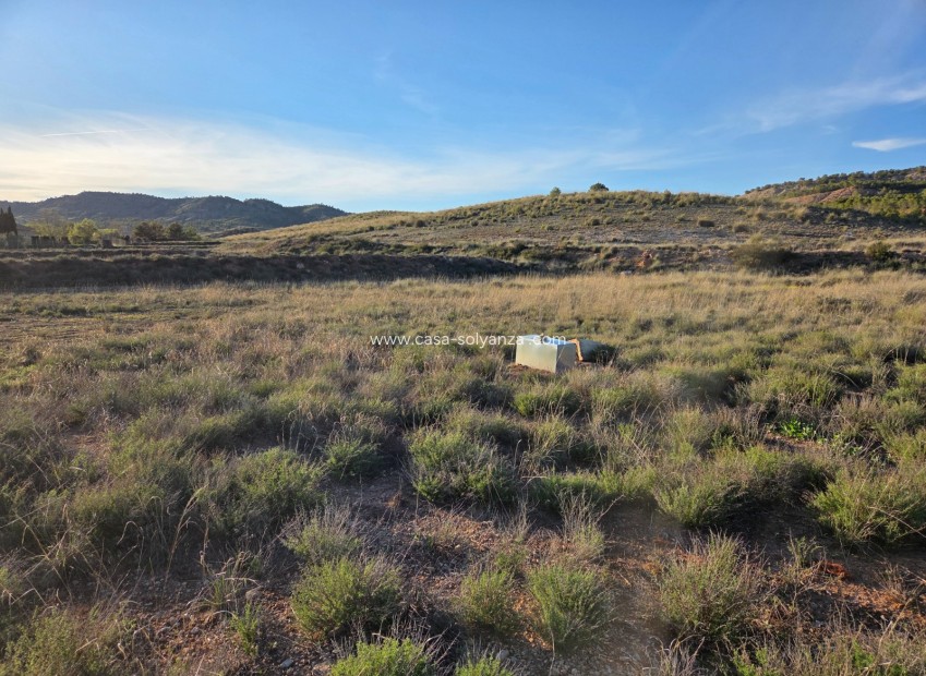 Herverkoop - Land - Yecla