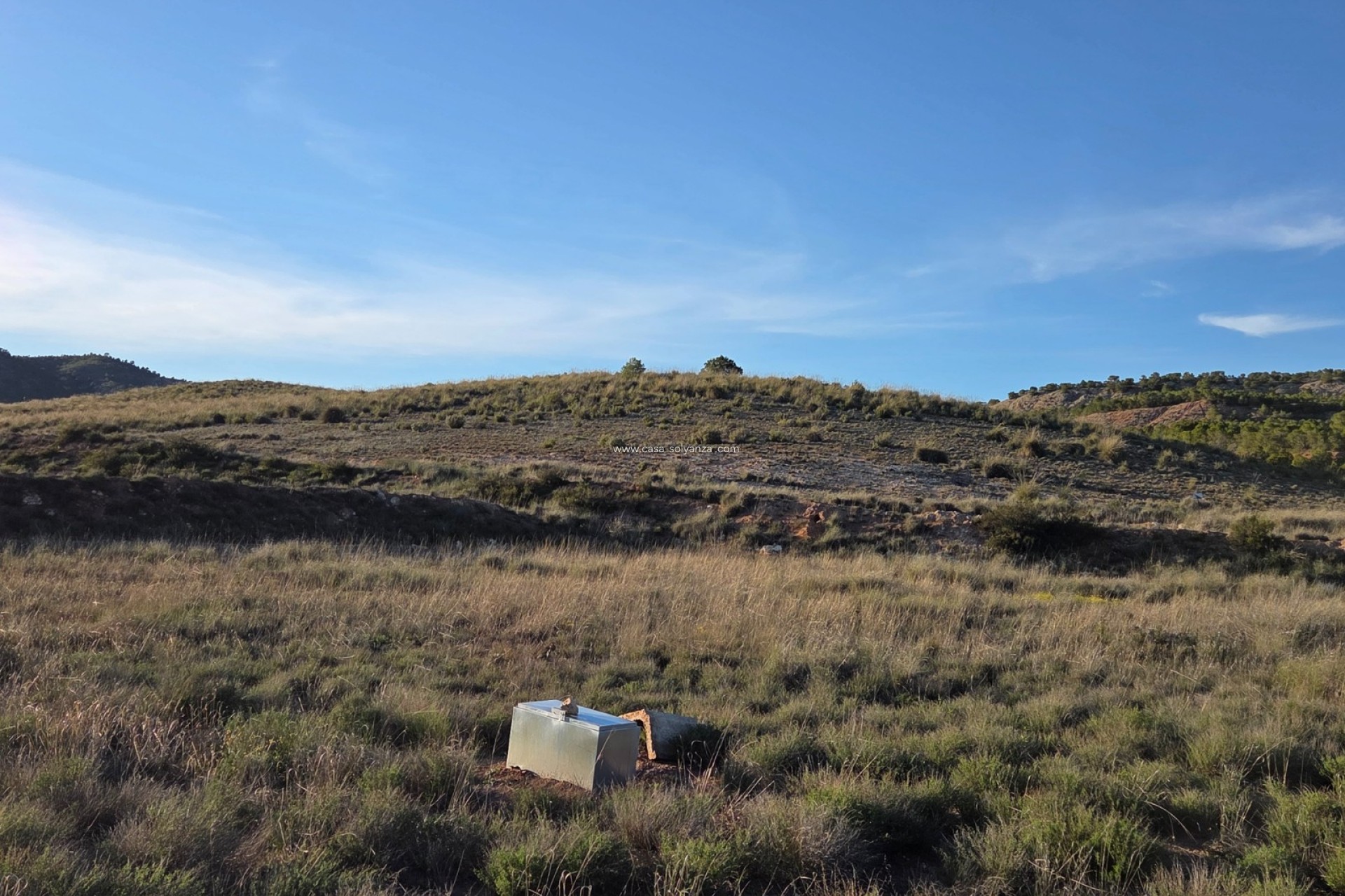 Herverkoop - Land - Yecla