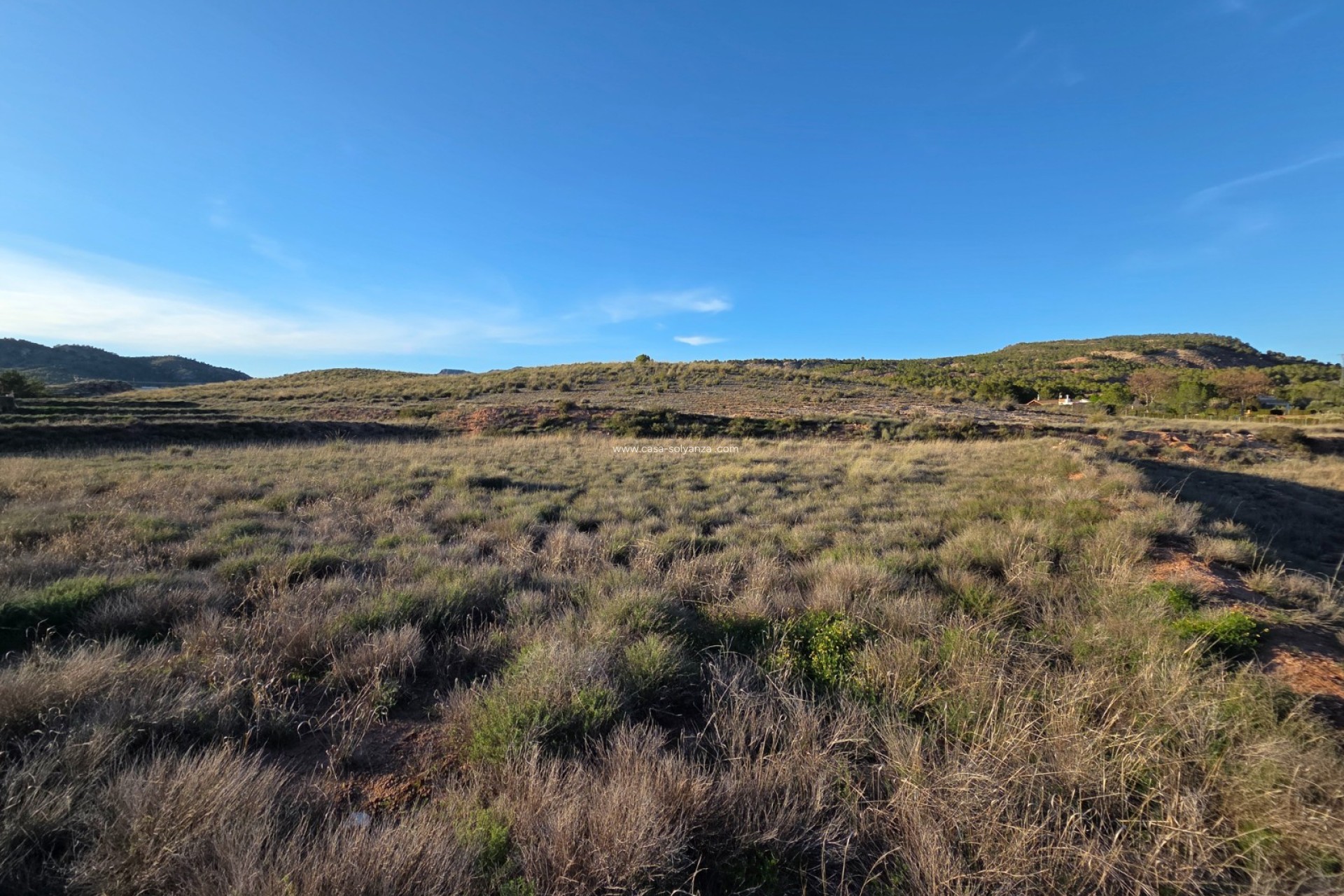 Herverkoop - Land - Yecla