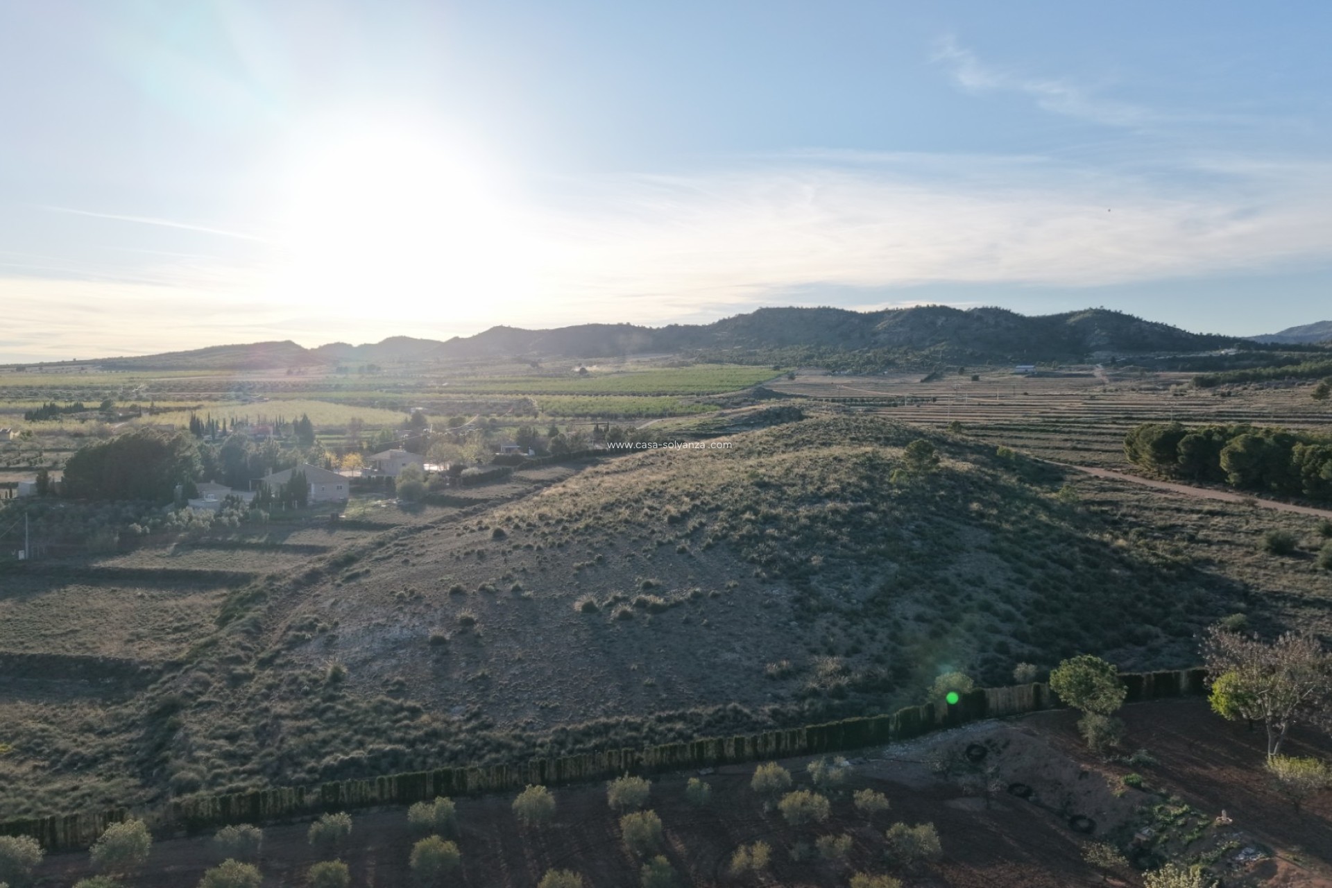 Herverkoop - Land - Yecla