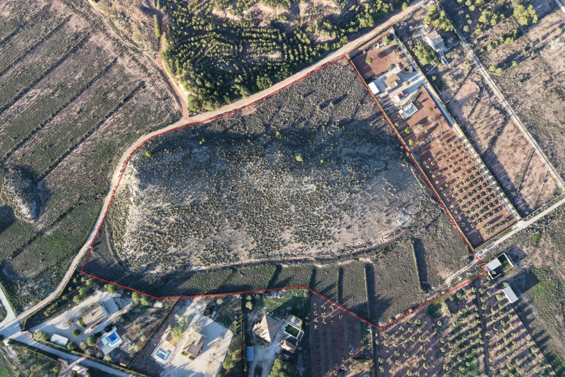 Herverkoop - Land - Yecla