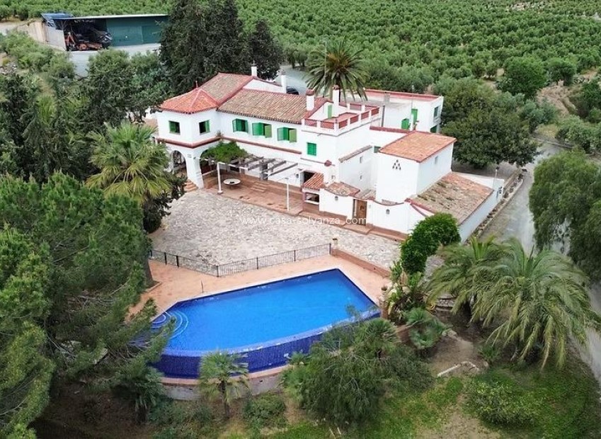 Herverkoop - Olivar - Puerto Lumbreras - Nogalte