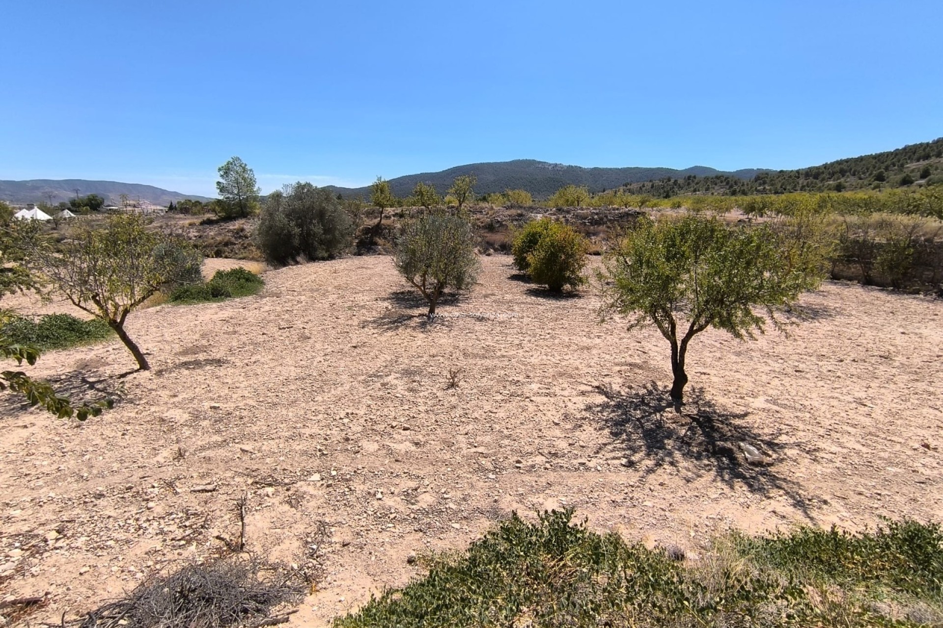 Herverkoop - Other - Chinorlet - Inland