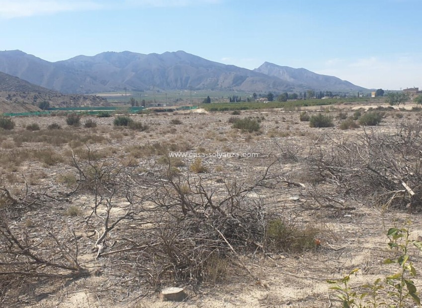 Herverkoop - Terreno - Benferri - HUERTA PUEBLO