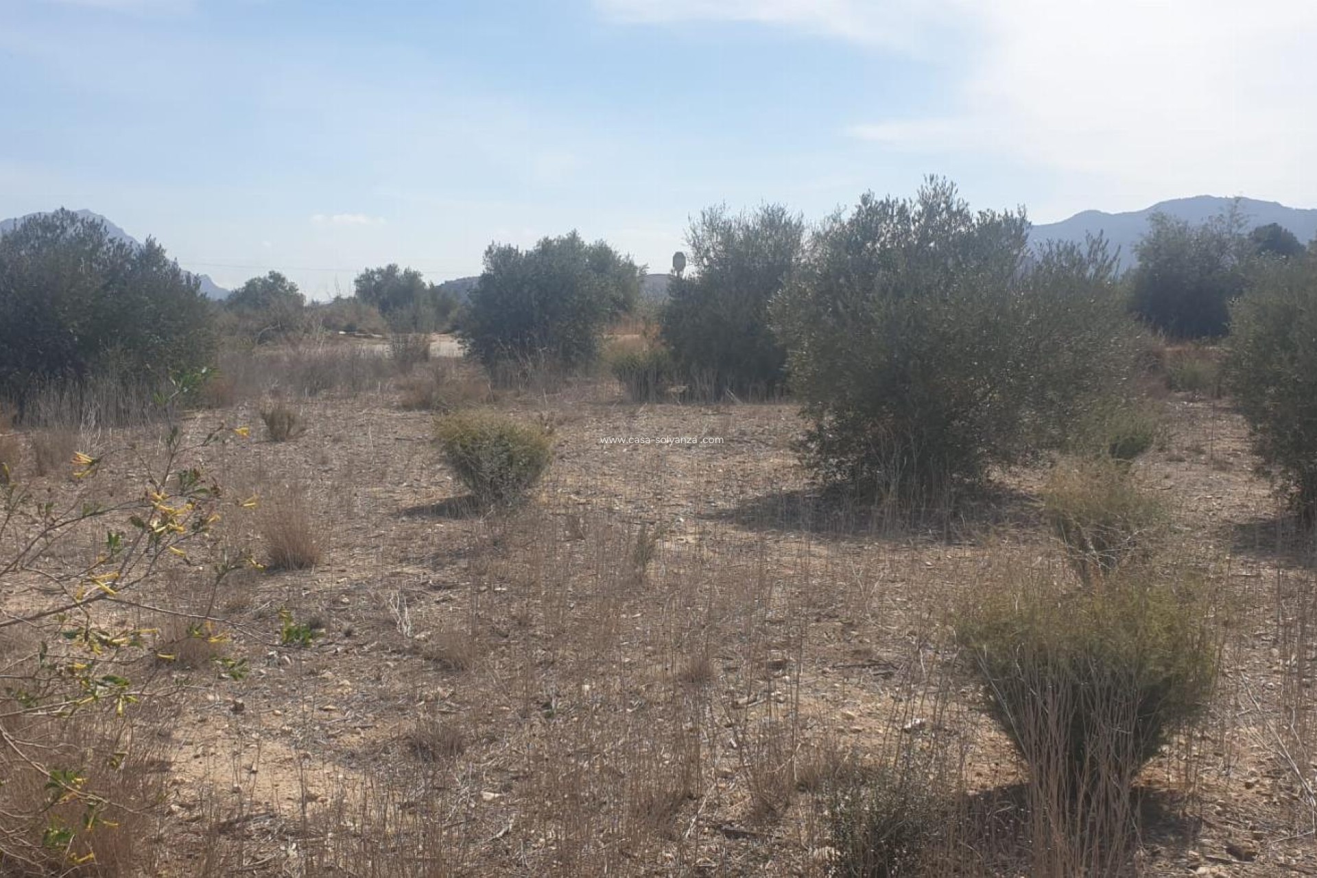 Herverkoop - Terreno - Benferri - HUERTA PUEBLO