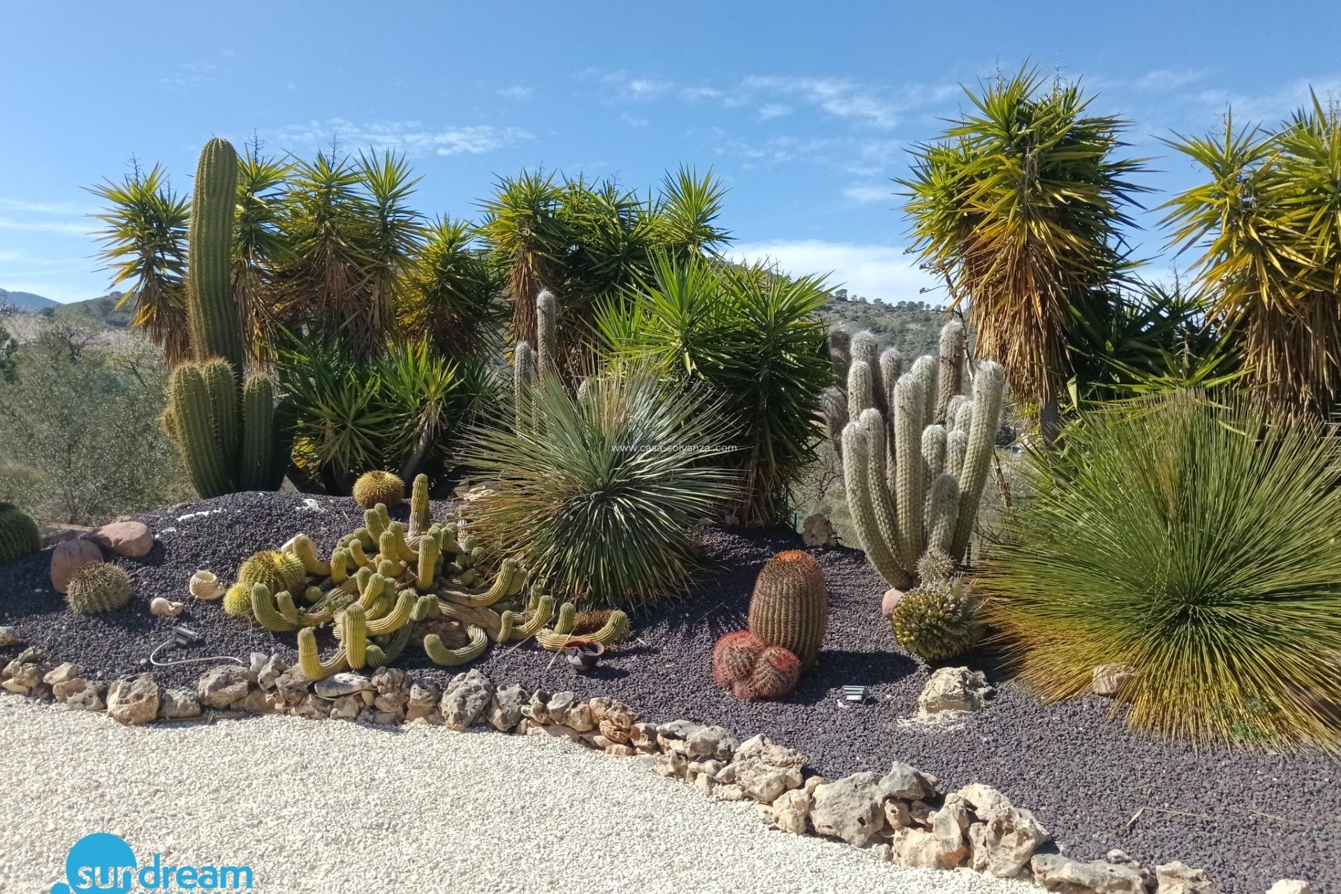 Herverkoop - Villa - Abanilla