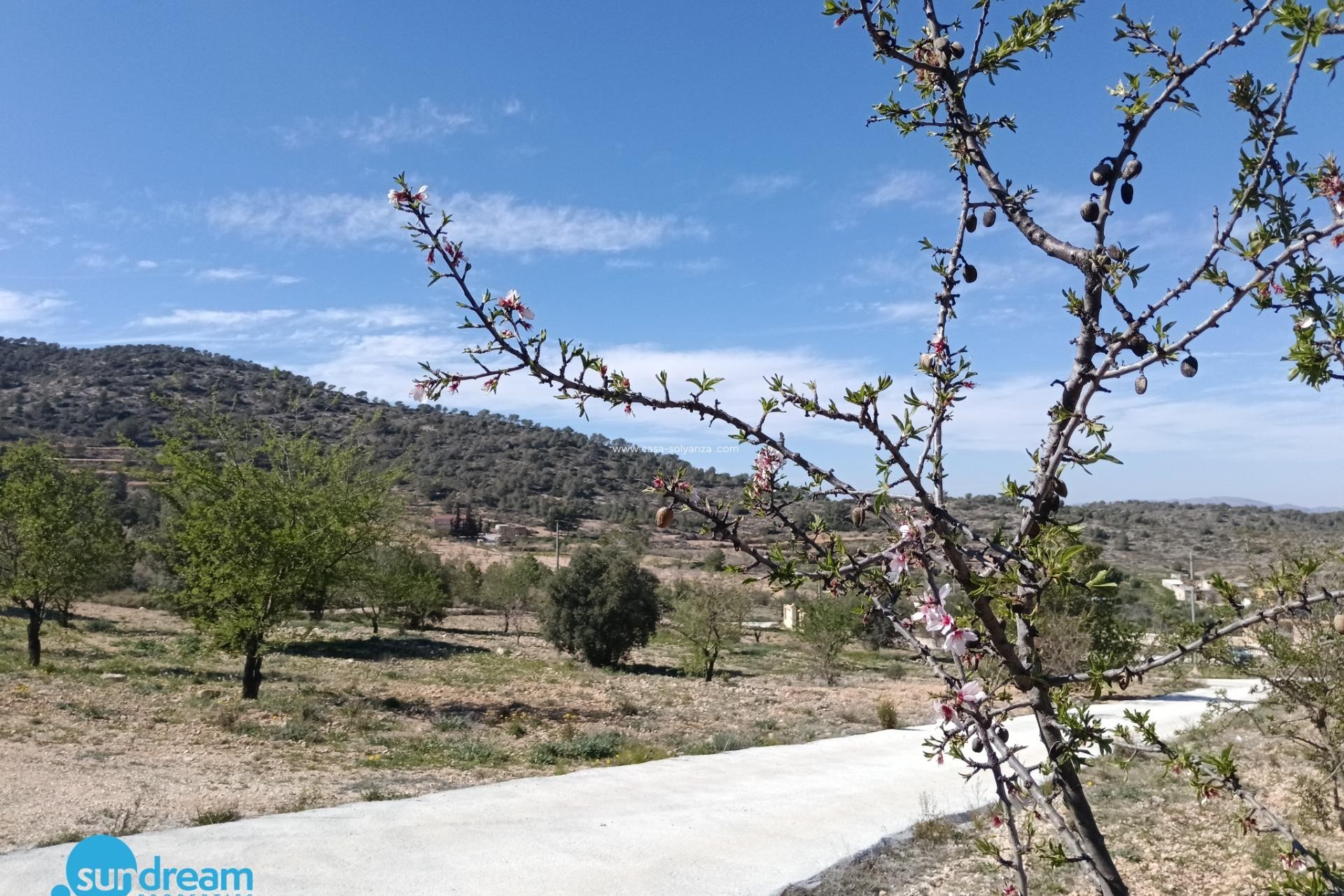 Herverkoop - Villa - Abanilla