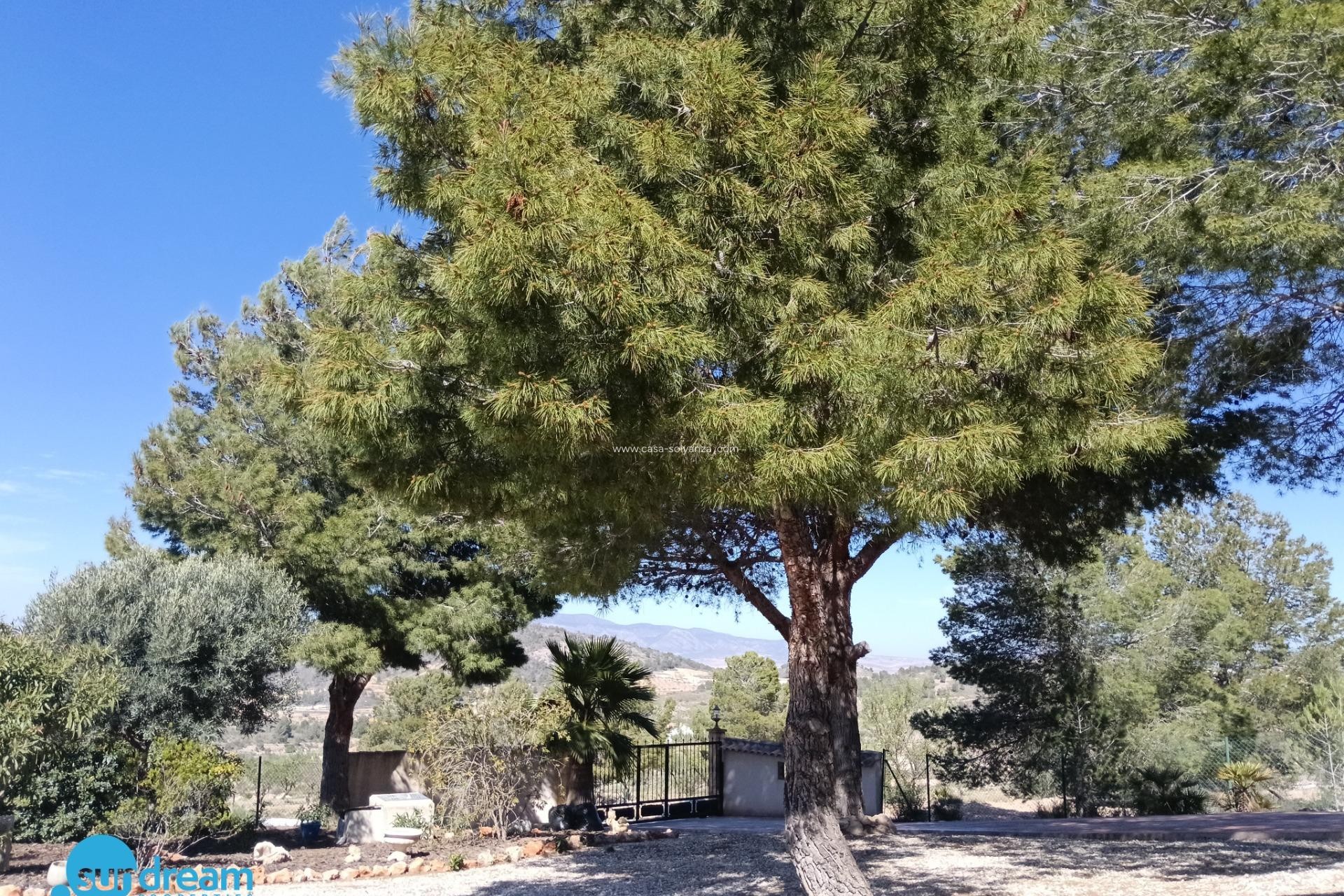 Herverkoop - Villa - Abanilla