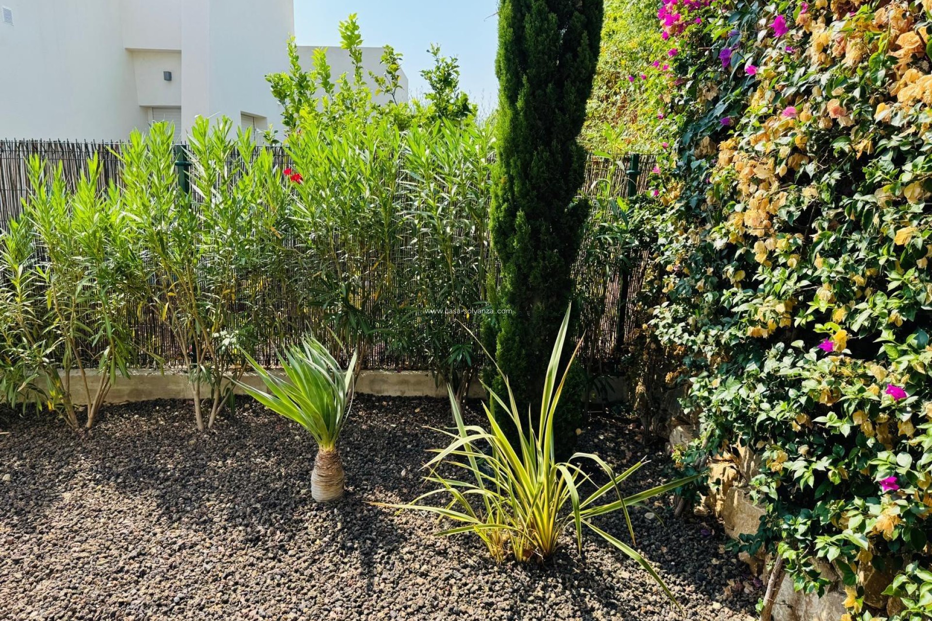 Herverkoop - Villa - Algorfa - Club De Golf La Finca