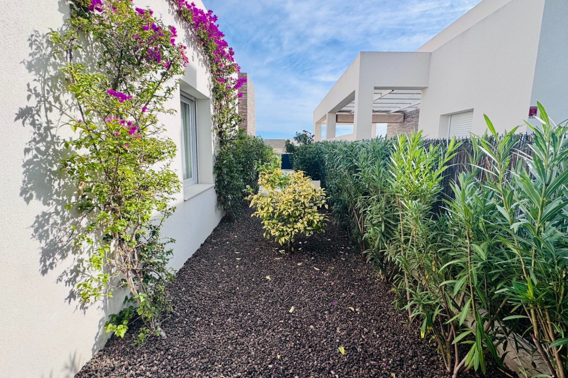 Herverkoop - Villa - Algorfa