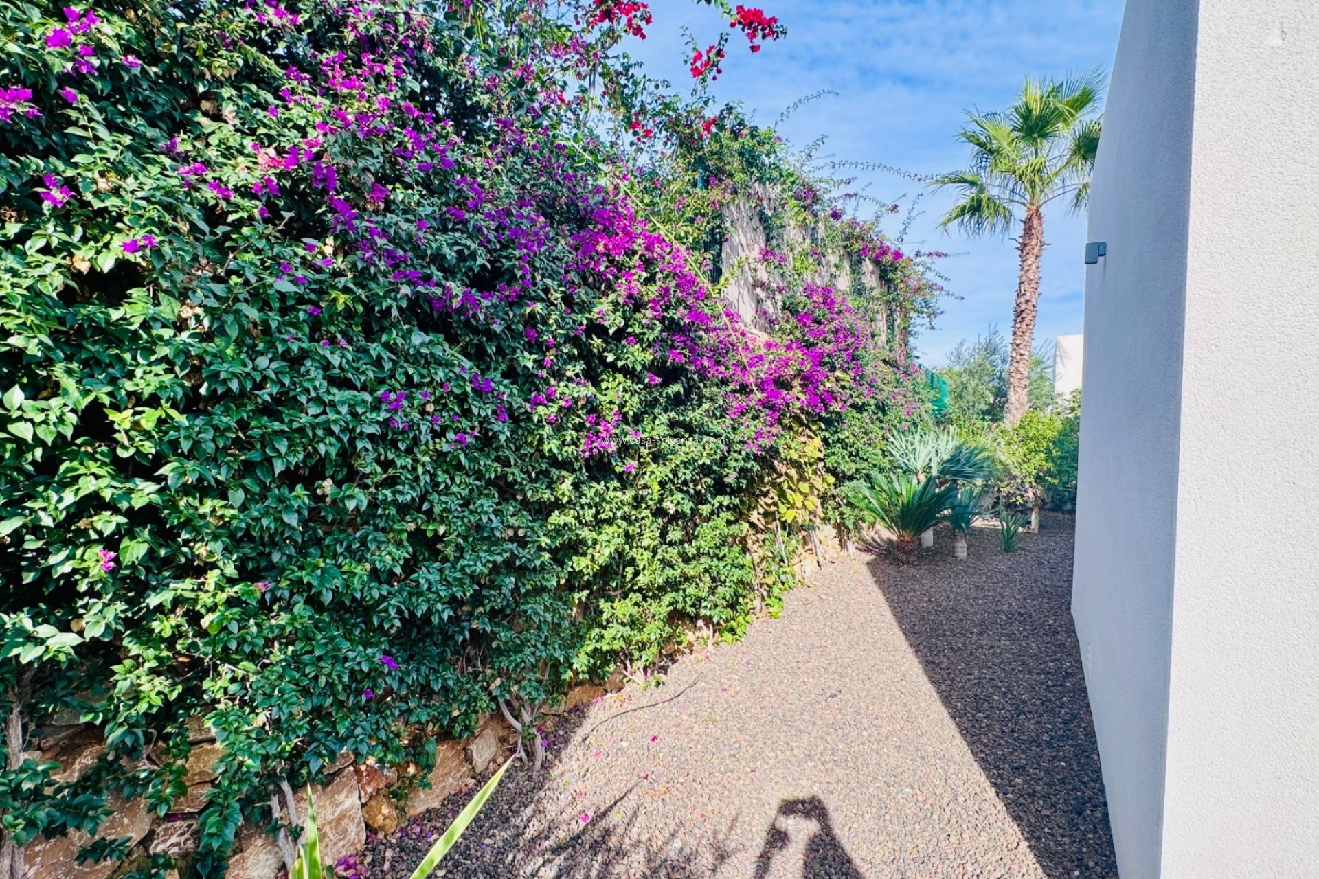 Herverkoop - Villa - Algorfa