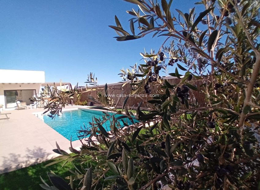 Herverkoop - Villa - Algorfa