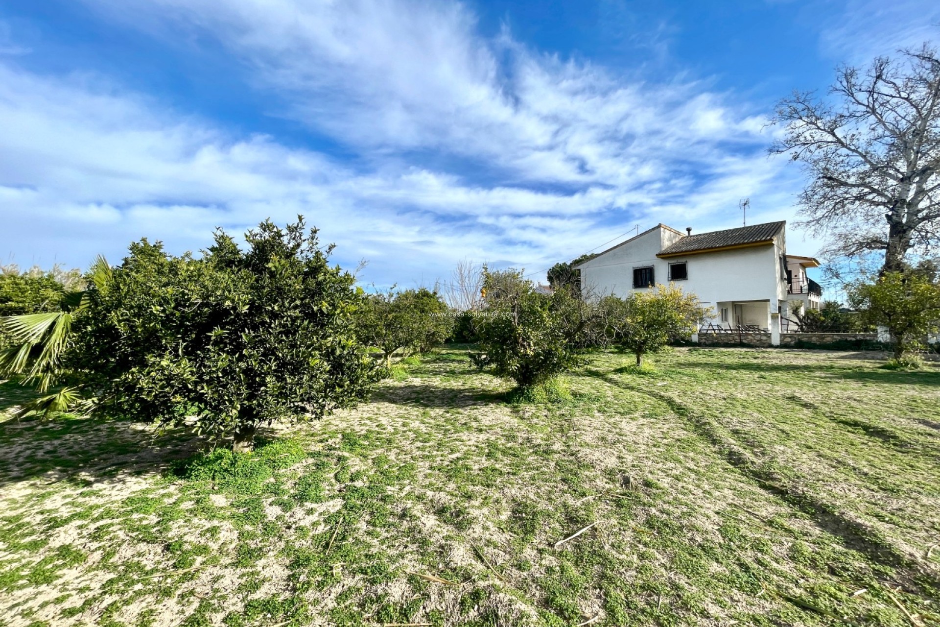 Herverkoop - Villa - Benejuzar - Inland