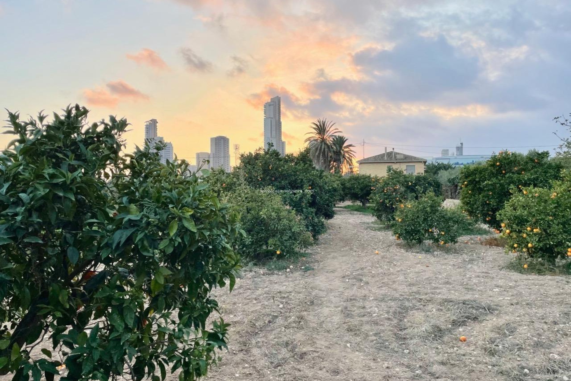 Herverkoop - Villa - Benidorm - Salto Del Agua