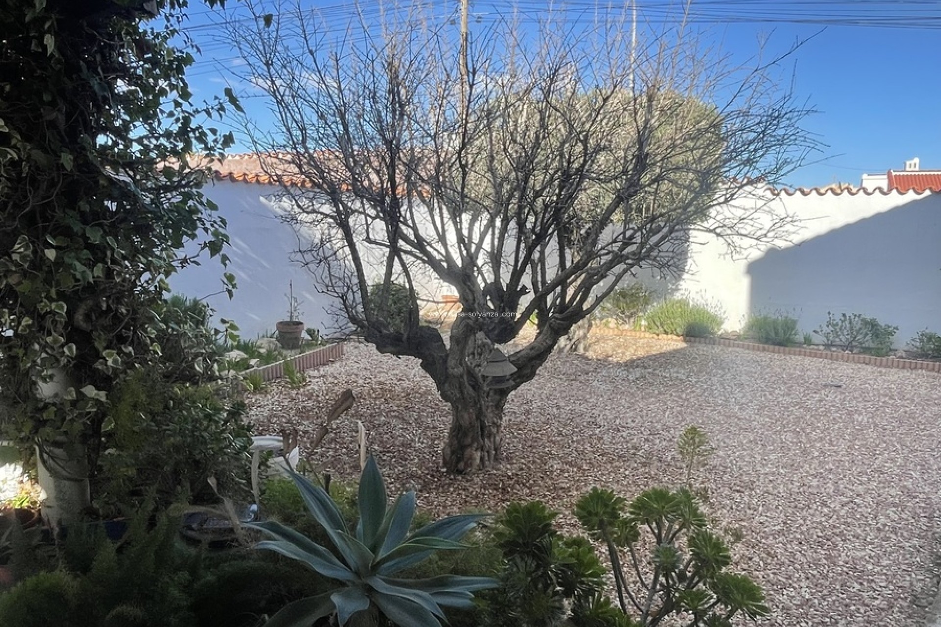 Herverkoop - Villa - Ciudad Quesada (Rojales) - 0