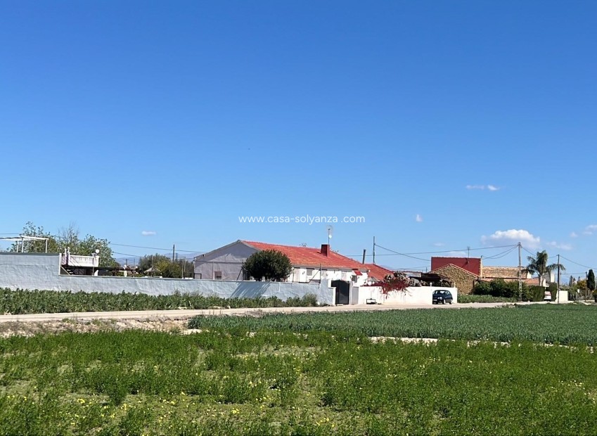 Herverkoop - Villa - Dolores - Comunidad Valenciana