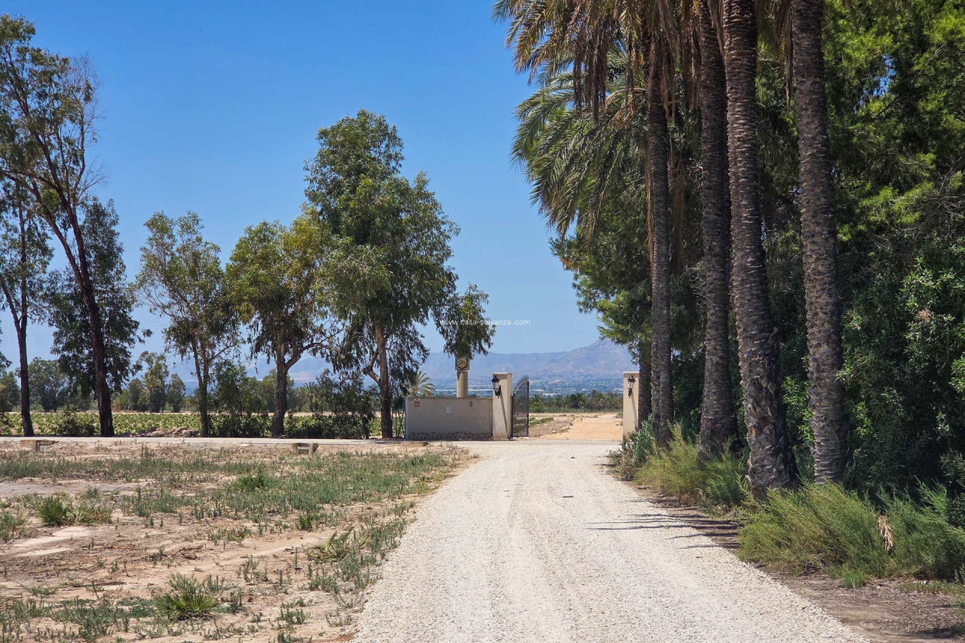 Herverkoop - Villa - Elche - Costa Blanca