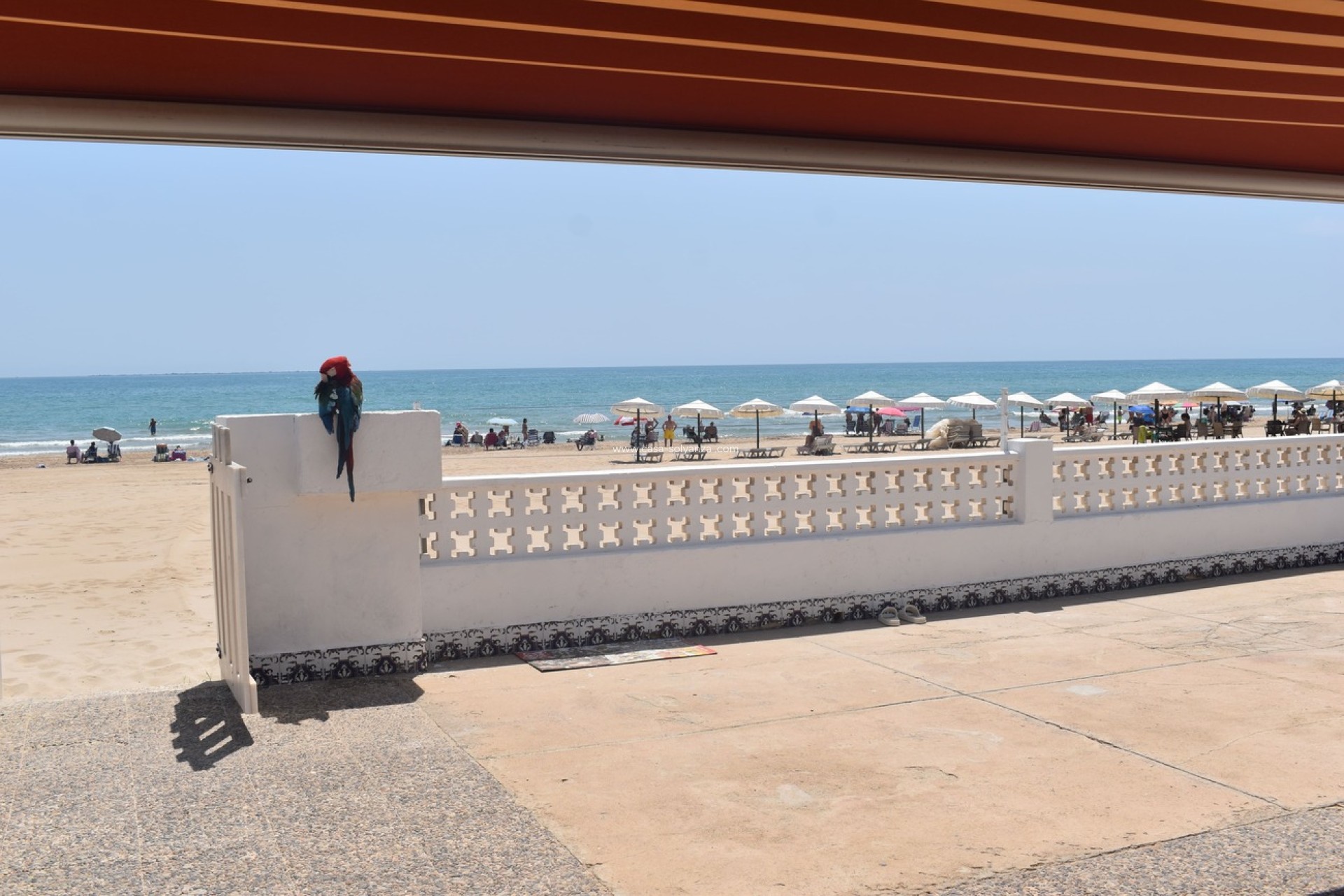 Herverkoop - Villa - Guardamar del Segura - Costa Blanca