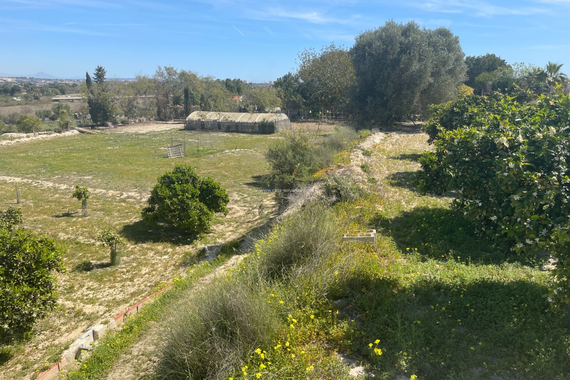 Herverkoop - Villa - Guardamar del Segura - Costa Blanca