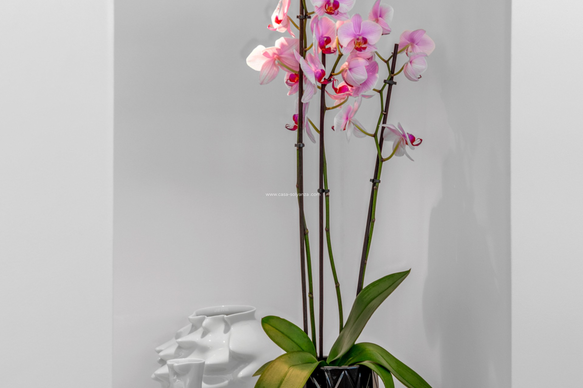 Herverkoop - Villa - Guardamar del Segura