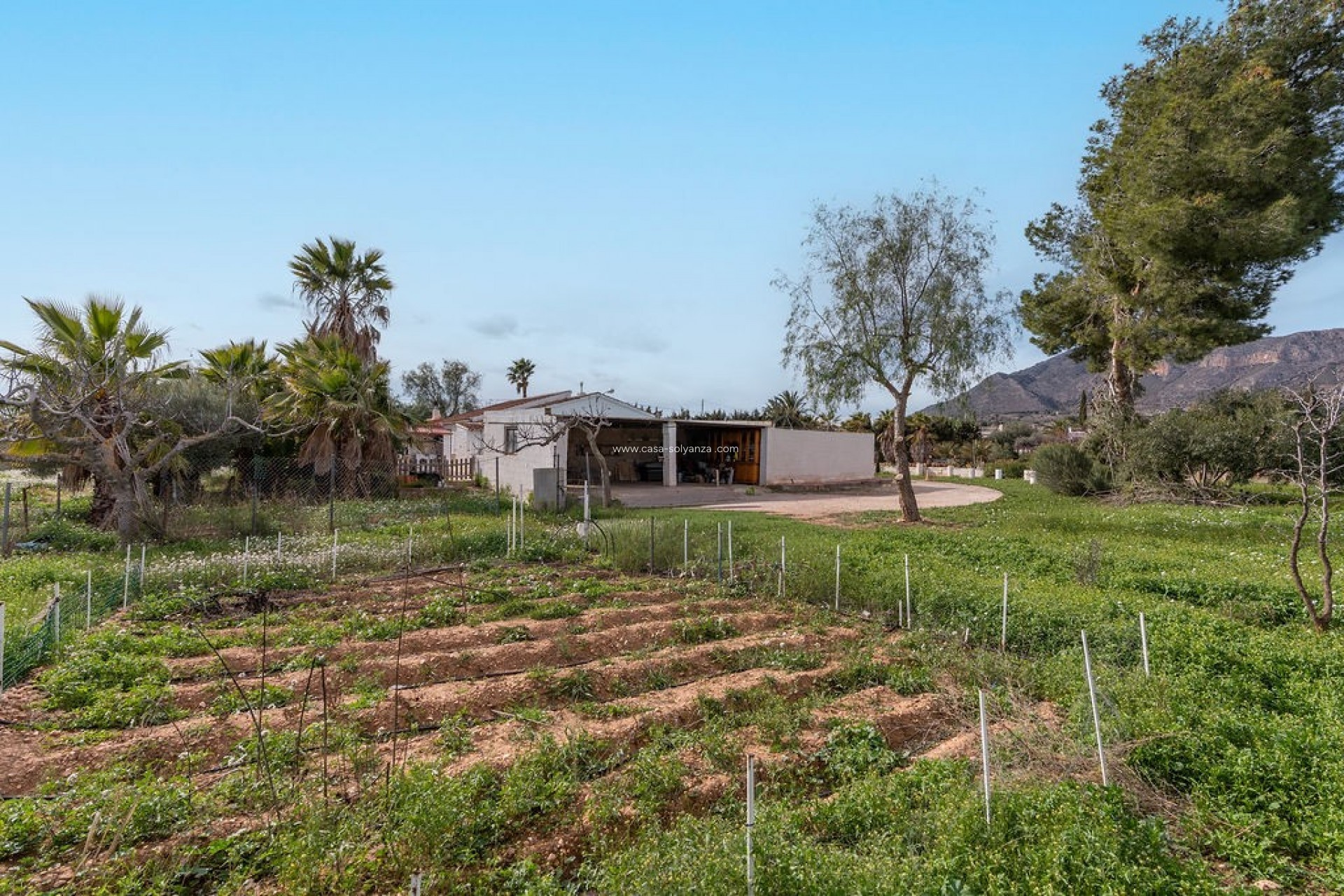 Herverkoop - Villa - Hondón de las Nieves - Inland