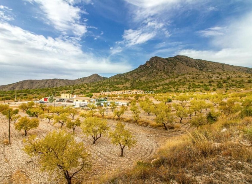Herverkoop - Villa - Jumilla - Inland