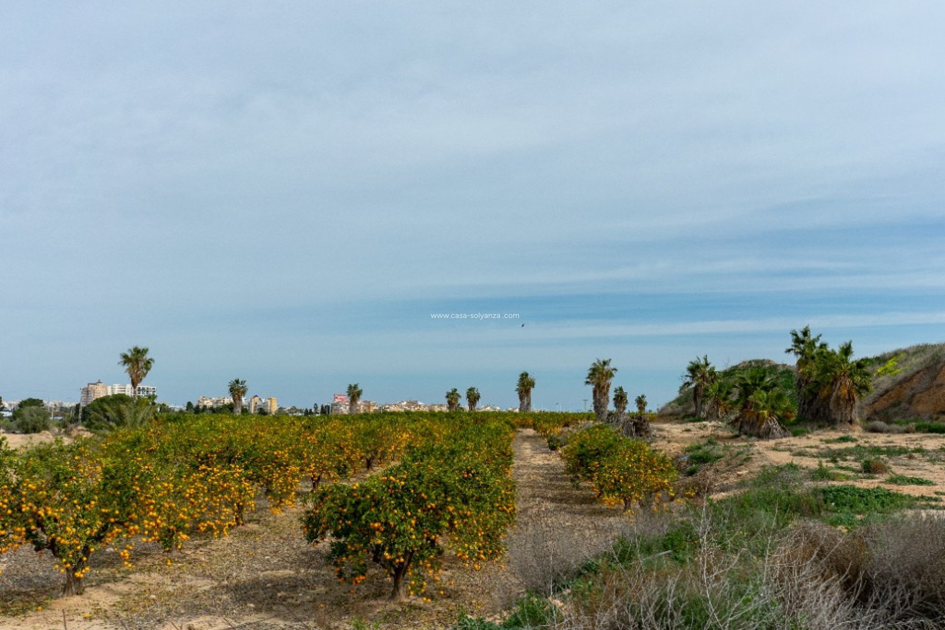 Herverkoop - Villa - Los Altos