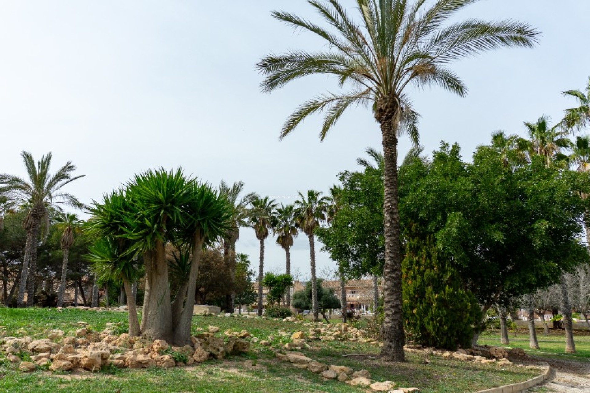 Herverkoop - Villa - Los Altos