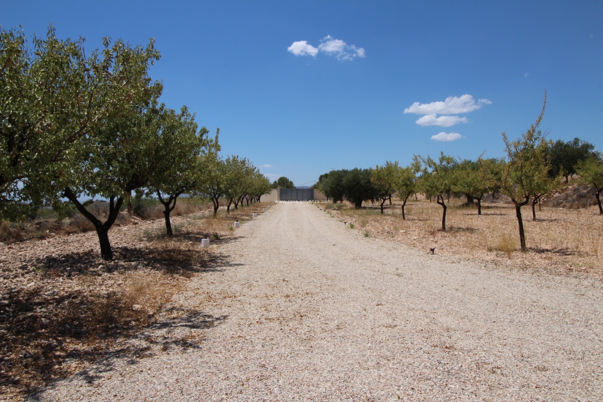 Herverkoop - Villa - Macisvenda - Inland