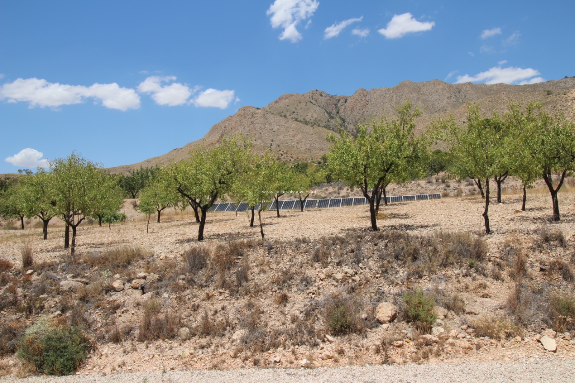 Herverkoop - Villa - Macisvenda - Inland