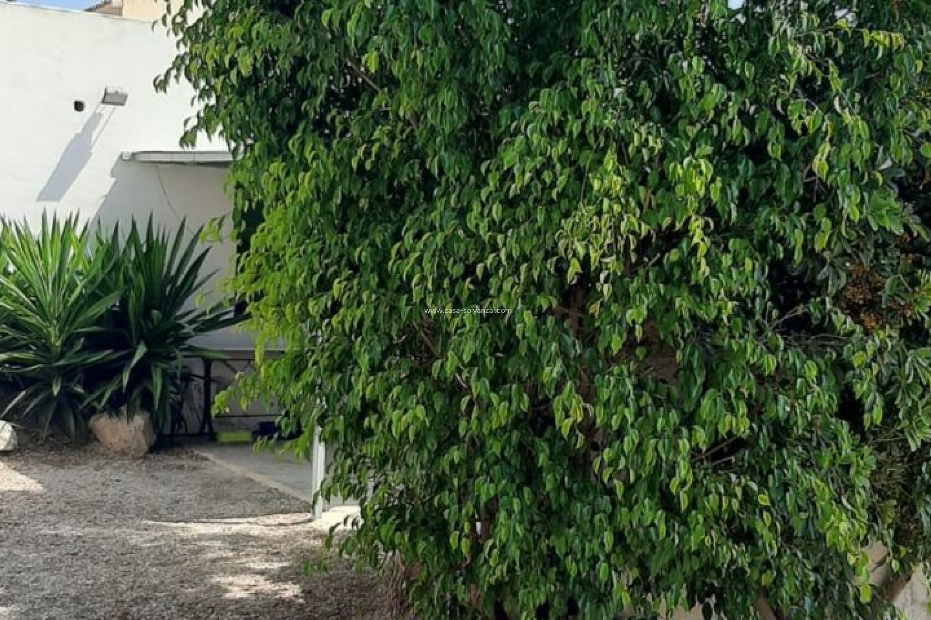 Herverkoop - Villa - Macisvenda - Inland