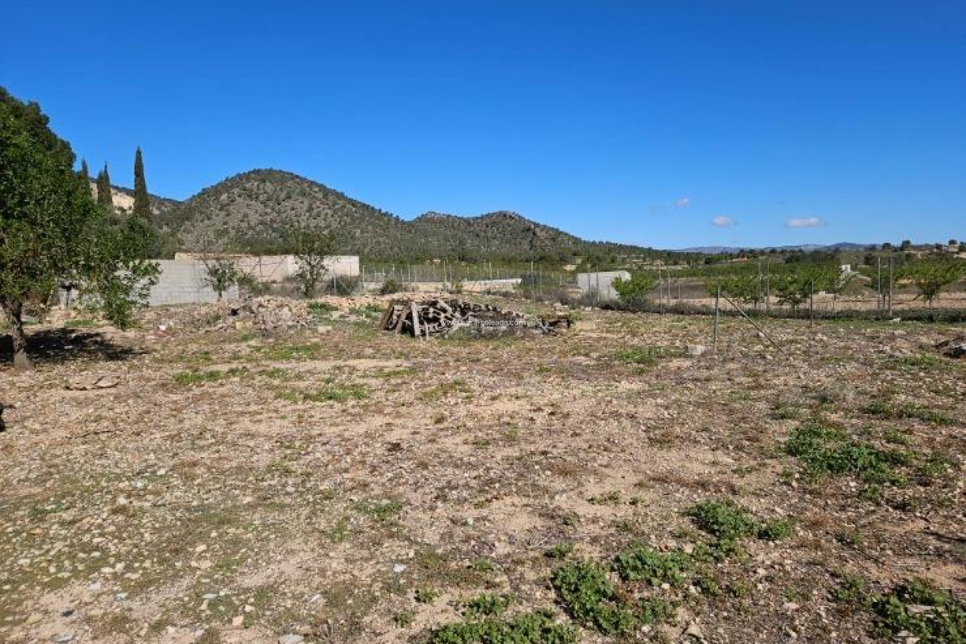 Herverkoop - Villa - Monóvar - Comunidad Valenciana