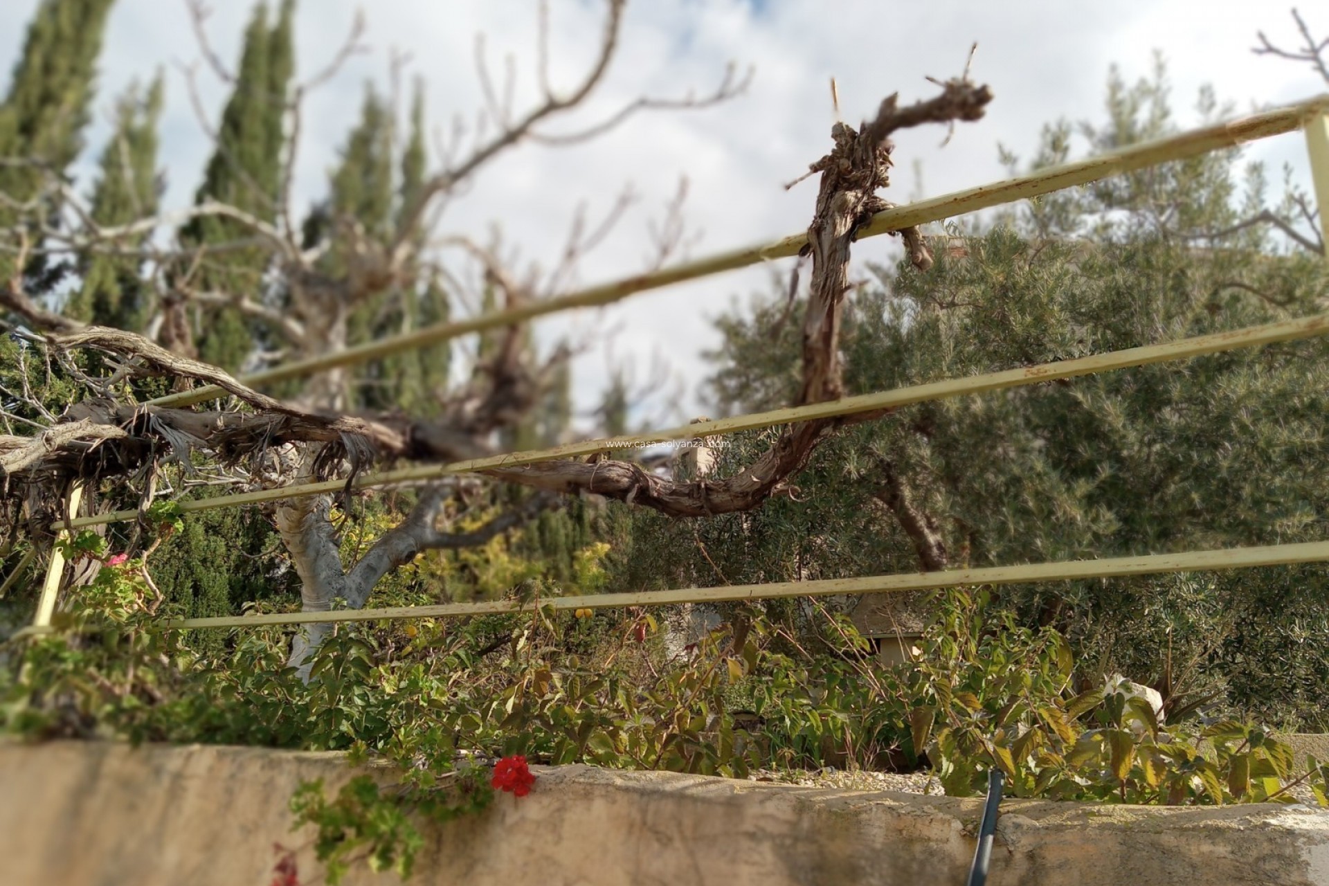 Herverkoop - Villa - Murcia