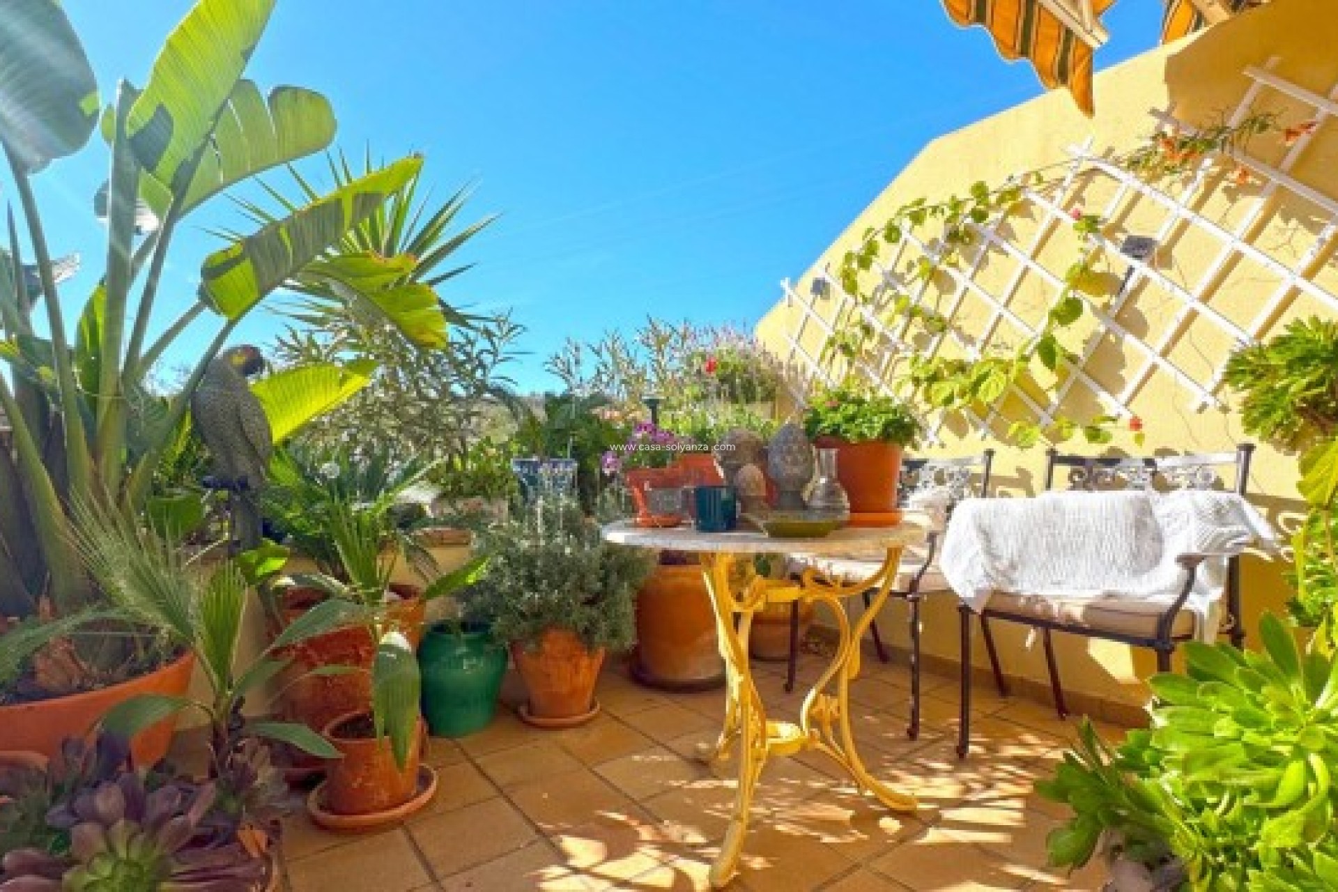 Herverkoop - Villa - Orihuela Costa - 0