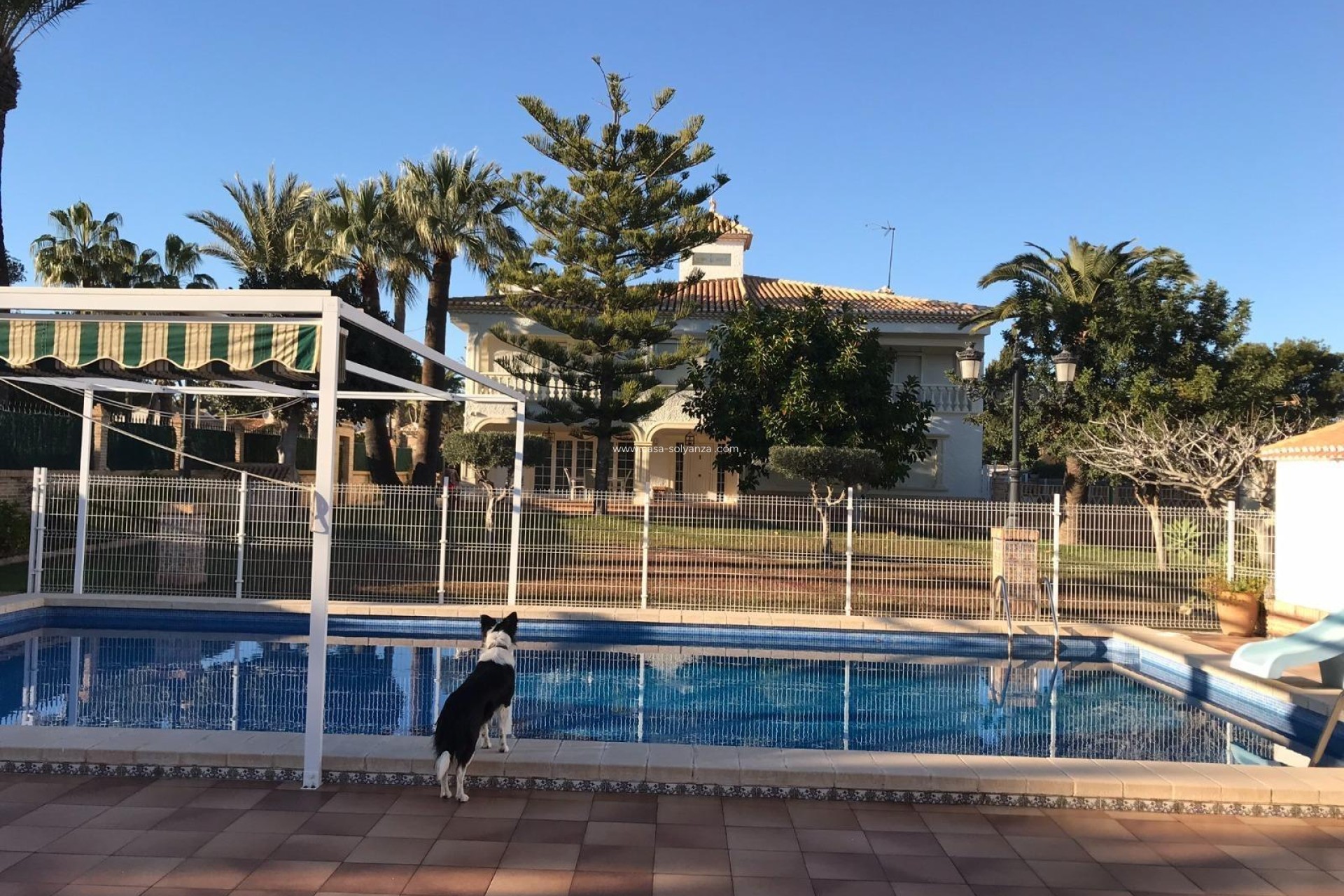 Herverkoop - Villa - Orihuela Costa - Cabo Roig